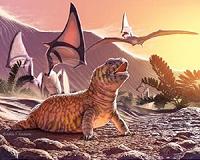 Why are there so many types of lizards?