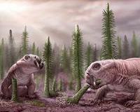 Our ancestors were already warm-blooded before PT extinction event