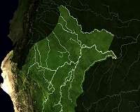 US-China trade war 'imperils' Amazon forest, experts warn