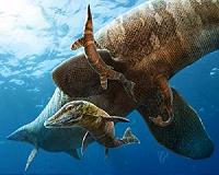 Fossil reveals new species of ancient marine lizard