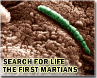 Dormant desert life hints at possibilities on Mars