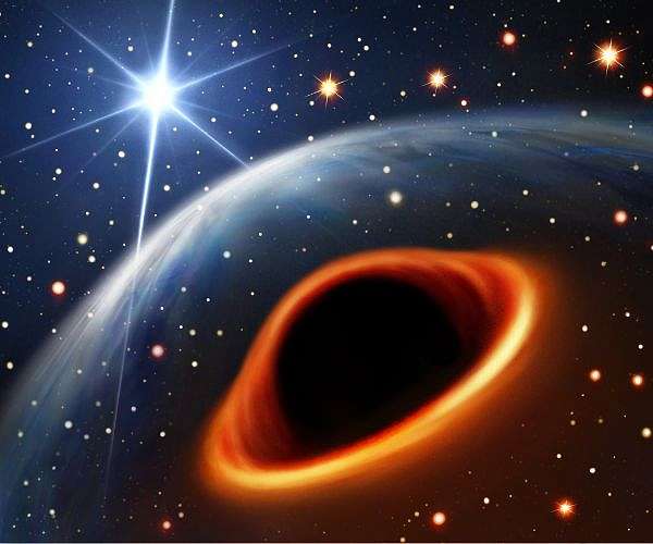 Chance glimpse of star collapse offers new insight into black hole formation