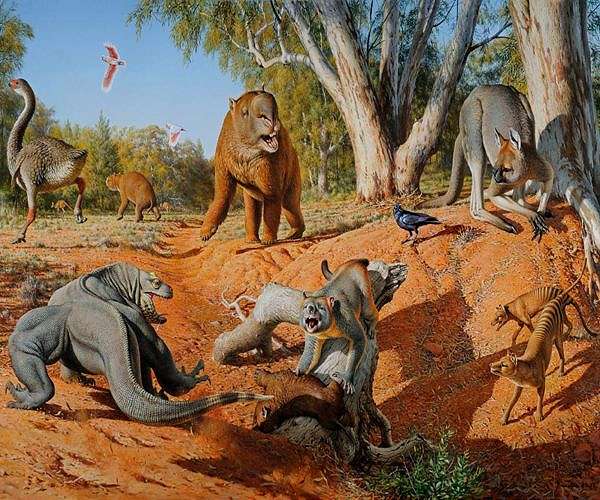 Australia's mammal megafauna face long-term decline from extinctions and invasive species