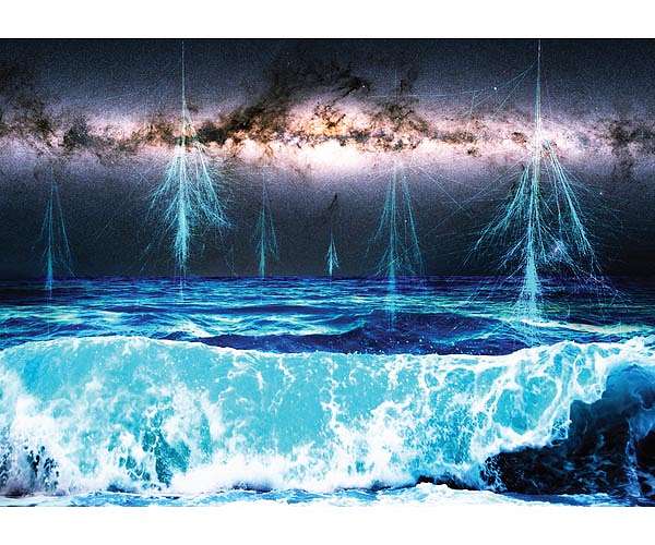 Supernovae and life on Earth appears closely connected