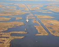 Mississippi Delta marshes in a state of irreversible collapse
