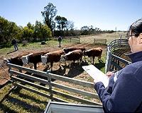 China cuts Australian beef imports after warning against virus probe