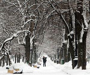 Cold snap claims 88 lives in Russia