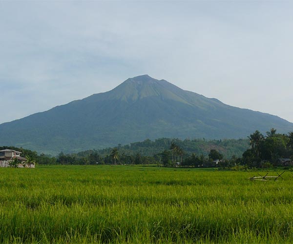 Evacuations underway as Philippine volcano erupts