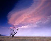 Australian Drought Turns To Flood As California Dries Out