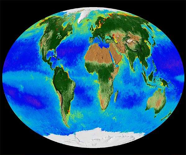 Saving nature: Conserving 30% of the land, sea just the start