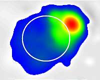 Indian Scientists Make Deepest Radio Images of the Sun