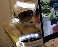 The wacky, big-money world of pet influencers