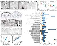 Neuroscientists discover neural circuits that control hibernation-like behaviors in mice