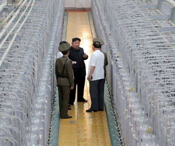 U.S., Japan, Republic of Korea meet over 'concerning developments' in DPRK, Russia