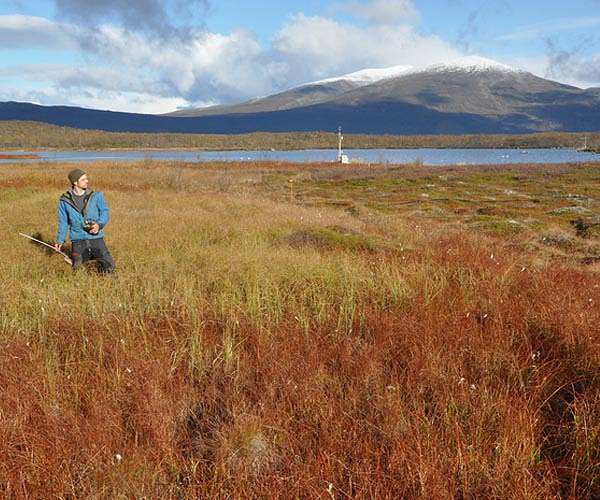 Climate activist group files second lawsuit against Sweden