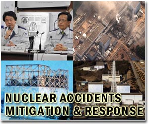 Spain awards heroes of Japan nuclear disaster