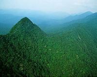 Mexican conservationist found dead two weeks after disappearance