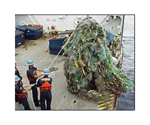 Human impact on the last great wilderness of the deep sea