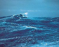 Height Of Large Waves Changes According To Month