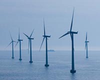 Consider marine life when implementing offshore renewable power