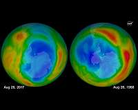 Common CFC replacements break down into persistent pollutants