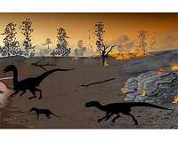 The 'firewalkers' of Karoo: Dinosaurs and other animals left tracks in a 'land of fire'