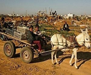 Outside View: Refugees forever?
