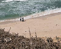 No charges as Israel closes probe into deadly Gaza beach bombing