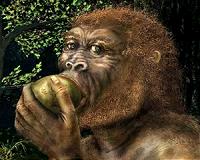 2-million-year-old fossils suggest human ancestor was a tree climber