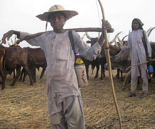Africa's path to low-carbon food security