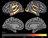 Lost languages leave a mark on the brain