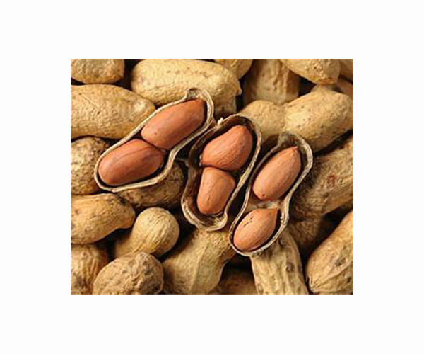 'Life-saving' peanut paste unlikely victim of Ukraine war