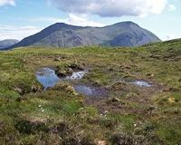 Peatland Code could save more than 200 million tons of carbon dioxide