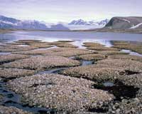 Permafrost melt poses long-term threat, says study