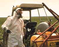 Pesticide blamed for 'health disaster' in French Caribbean