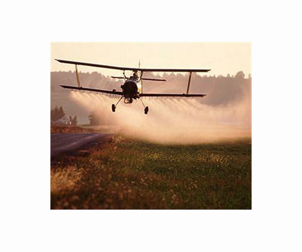 Cornell researchers explore alternatives to harmful insecticide