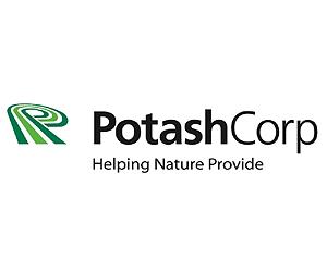 China's Sinochem asks government to back Potash bid: report