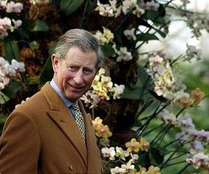 Britain's Prince Charles turns BBC weatherman