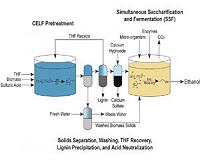 Key enzyme for production of second-generation ethanol discovered in Brazilian Amazon