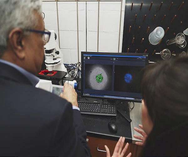 Rapid magnetic 3D printing of human cells