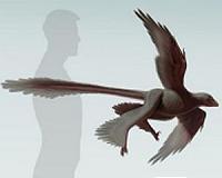 Feathery find: One of the last dino raptors lived in New Mexico