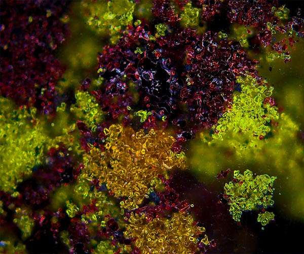 EU says must 'step up' against China rare earths 'racket'