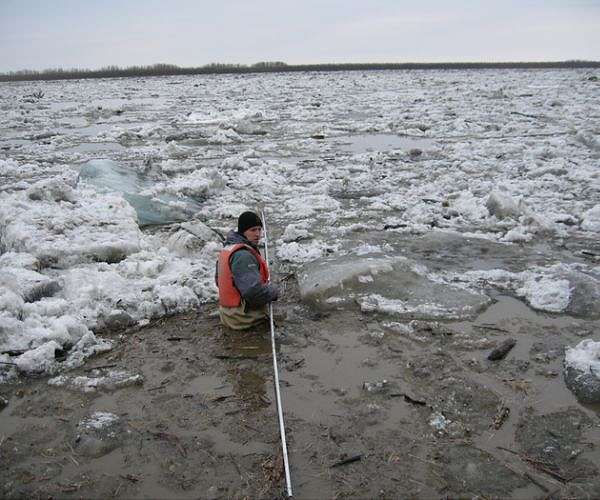 Decaying biomass in Arctic rivers fuels more carbon export than previously thought
