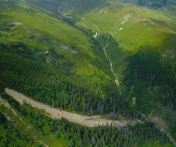 The fight to save 'sacred' Carpathian forests from loggers