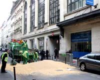 Why does Europe hate GM food and is it about to change its mind?