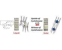 Vapor drives a liquid-solid transition in a molecular system