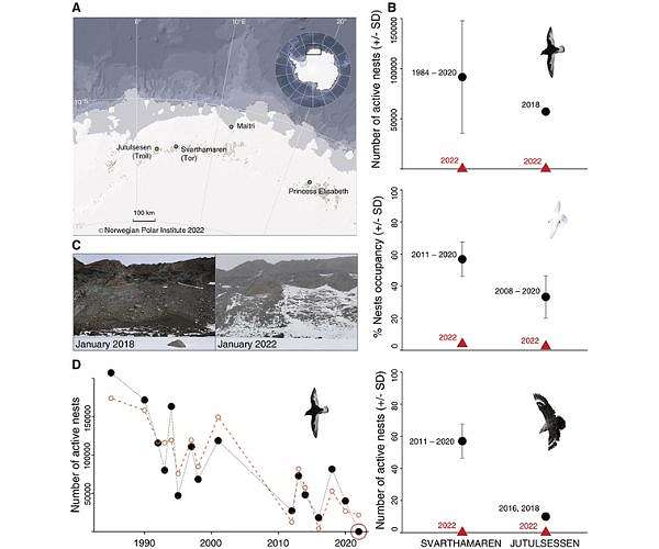 Entire populations of Antarctic seabirds fail to breed due to extreme snowstorms