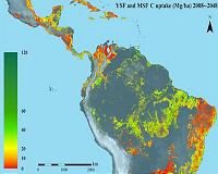 Carbon capture is substantial in secondary tropical forests