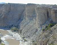 Crustal limestone platforms feed carbon to many of Earth's arc volcanoes