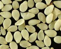 Seeds share memories with their offspring